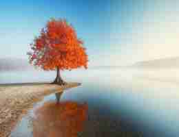 python做﻿app自​动‌化‍